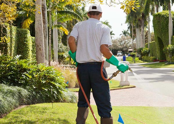 About Coolidge KS Pest Control Pros